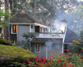 Best HoneymoonPackages In Kerala,Tourist Place In South India 