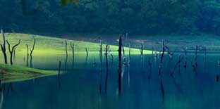 Kerala Honeymoon Packages,Cheapest Kerala Tour Packages