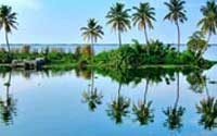 Best Tour Operators In Kerala,Best Travel Agency In Kerala 