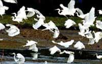 Best Travel Agency In Kerala,Kerala Tour Operators