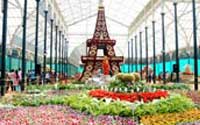 Tourist Place In South India,Cheapest Honeymoon Packages In Kerala