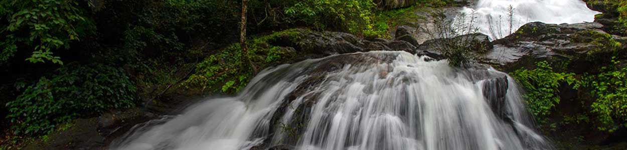 South India Family Tour Packages,Trip To South India