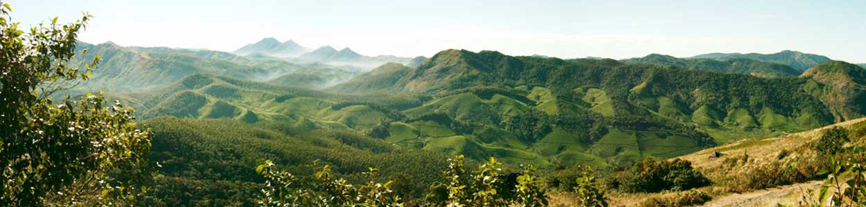 Munnar tour packages Kerala Tourism,Best Travel Agency In Kerala