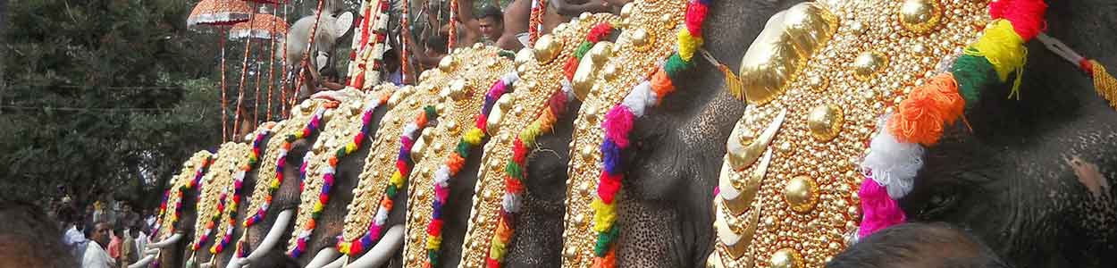 Pooram Kerala Tourism,Best Travel Agency In Kerala