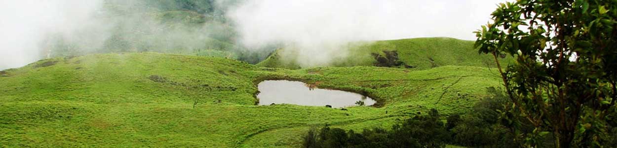 Wayanad Tour Packages,Best Tour Operators In Kerala