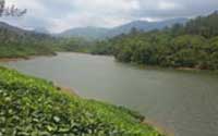 Munnar tour packages Kerala Tourism,Best Tour Operators In Kerala