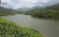 Munnar tour packages Kerala Tourism,Best Tour Operators In Kerala 