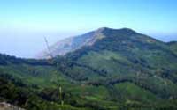 Munnar tour packages Kerala Tourism,Best HoneymoonPackages In Kerala