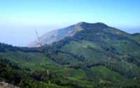 Munnar tour packages Kerala Tourism,Best HoneymoonPackages In Kerala 